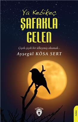 Kitaplarımız