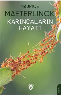 Kitaplarımız